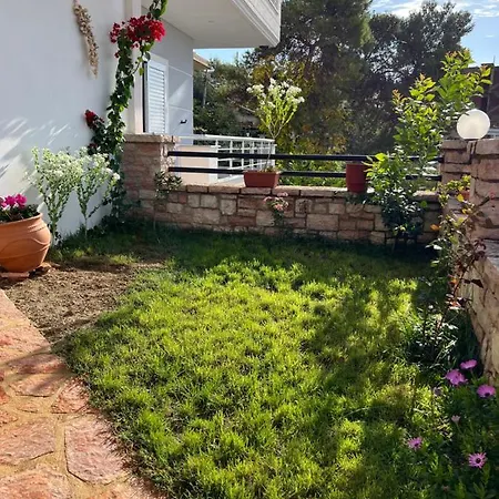 Harmony Sarande